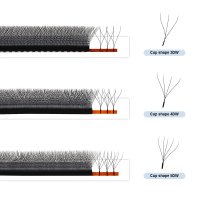 3D VS 4D VS 5D W clover lashes