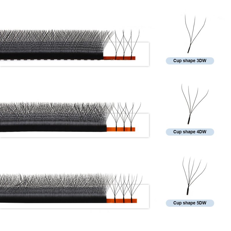 3D VS 4D VS 5D W clover lashes