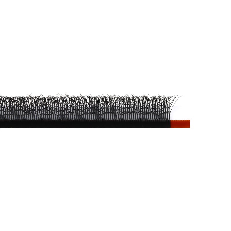 wispy w clover lashes