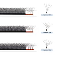 6D VS 7D VS 8D W clover lashes