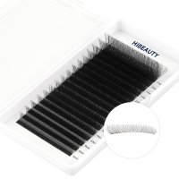 3D w lashes extension