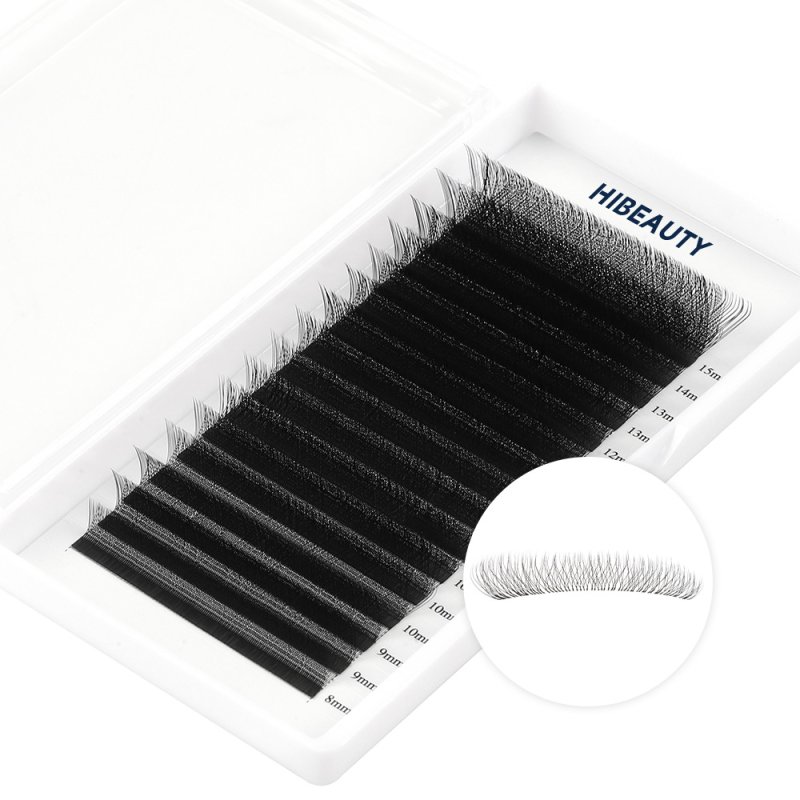 3D w lashes extension