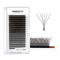 6D w lashes extension