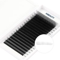 4D w lashes extension