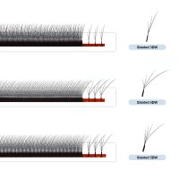 foxy w lashes 3D 4D 5D clover eyelash extension