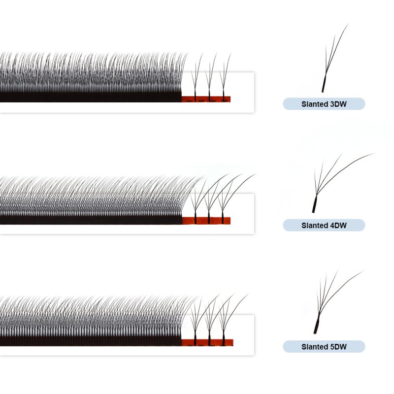 foxy w lashes 3D 4D 5D clover eyelash extension