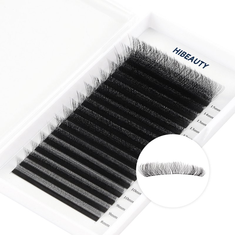 5D w lashes extension