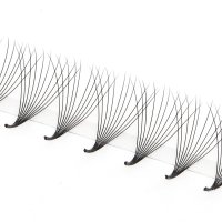 10D premade lash fans