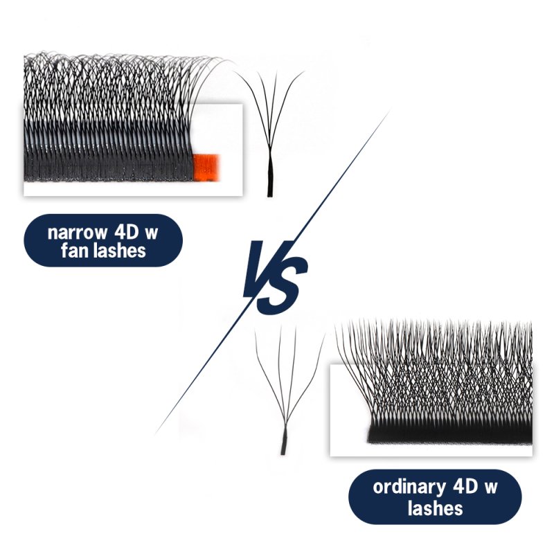 Narrow vs wide 4D W Lashes