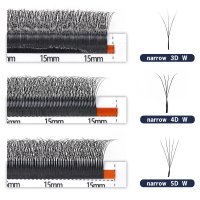 narrow 3d vs 4d vs 5d lashes