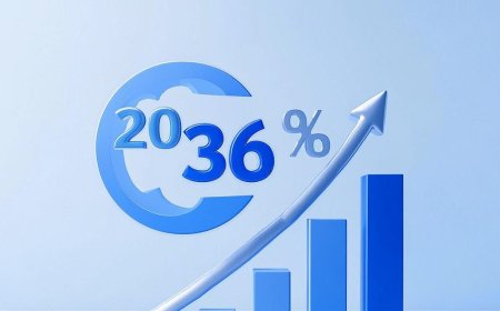 "Zengqiyun Intelligent Industrial: Soaring Growth and Expanding Global Reach in 2024 - 2025"