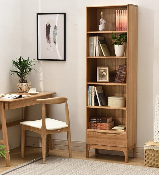 Living room bookshelf
