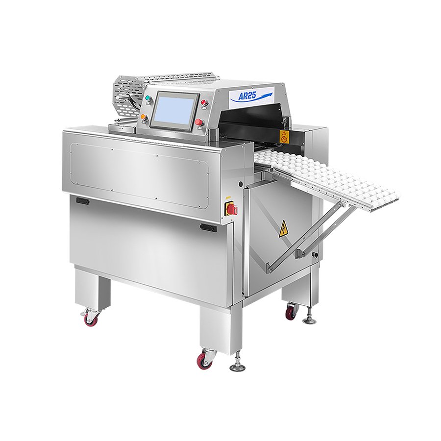 未标题-3_0003_AR25-(4)