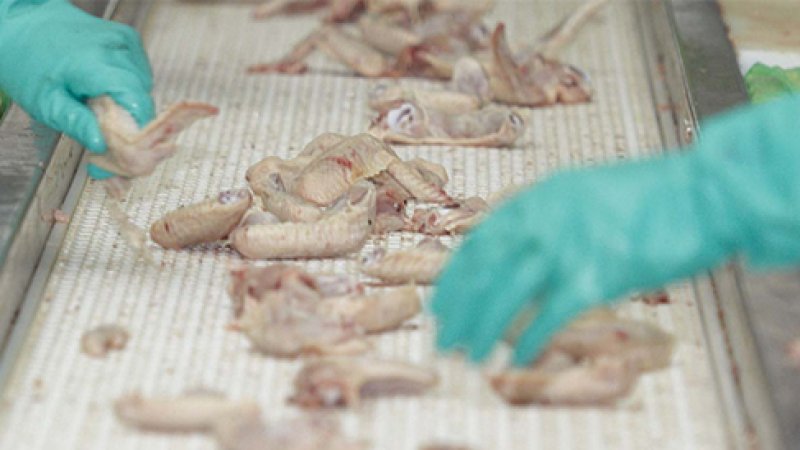 2025 Focus: Four Key Technologies Transforming the Poultry Processing Industry