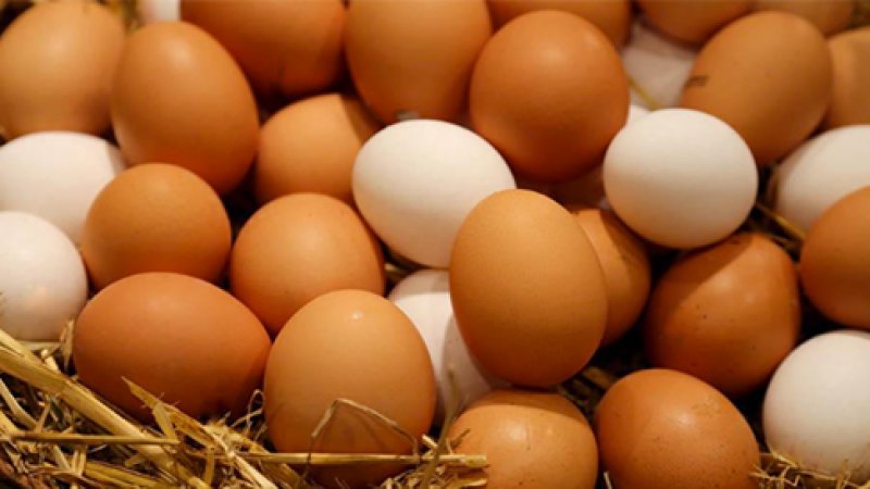 China's Egg Industry: Full-Chain Innovation Drives Value Breakthrough, Leading the New Journey of Agricultural Modernization