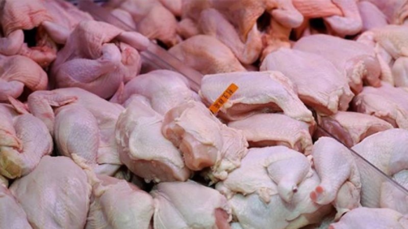 Thailand’s Poultry Export Industry Faces Growing Challenges in Global Markets
