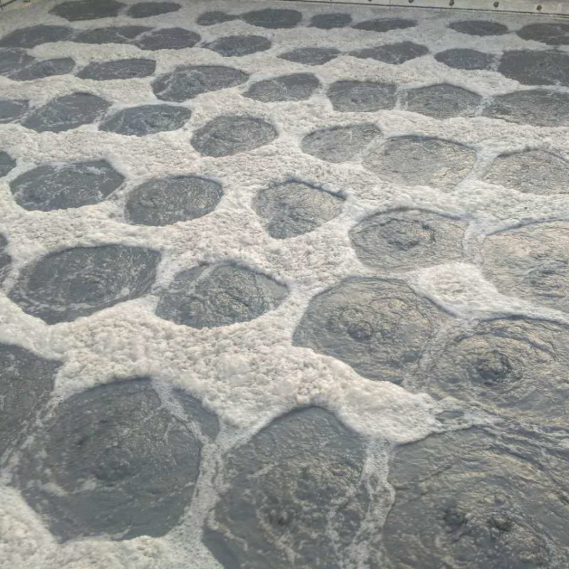 Slaughterhouse Sewage Treatment Solution