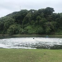 SAR Surface Aerator (4)