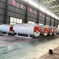 Oil Gas-fired Steam Boiler (3)