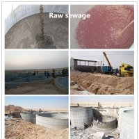 Slaughterhouse Sewage Treatment Equipment (8)