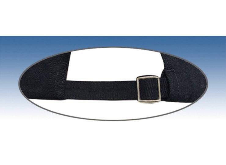 Silver sunny buckle