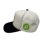丽晨泽产品_0002_2
