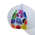 丽晨泽产品_0001_4