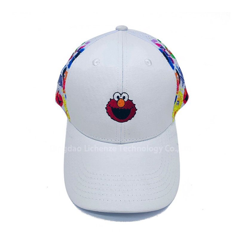 丽晨泽产品_0003_1