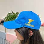 丽晨泽产品_0004_3