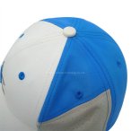 丽晨泽产品_0004_5