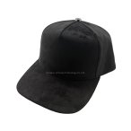 丽晨泽产品_0003_1 (1)