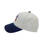 丽晨泽产品_0009_3 (1)