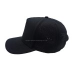 丽晨泽产品_0002_3 (1)