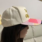丽晨泽产品_0003_4
