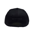 丽晨泽产品_0002_4 (1)(1)