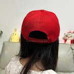 丽晨泽产品_0008_5