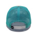 丽晨泽产品_0007_4_副本