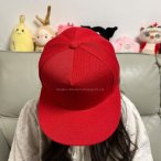 丽晨泽产品_0007_6