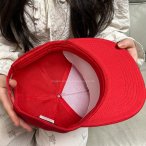 丽晨泽产品_0004_9