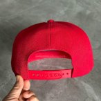 丽晨泽产品_0003_10