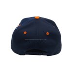 丽晨泽产品_0002_1.SD logo模糊处理一下1