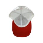 丽晨泽产品_0003_6