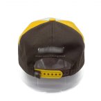 丽晨泽产品_0000_4有logo处理一下