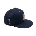 丽晨泽产品_0000_3.SD logo模糊处理一下
