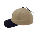 丽晨泽产品_0001_3_副本 (1)