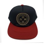 丽晨泽产品_0003_1