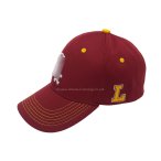 丽晨泽产品_0000_2 正前面logo稍微处理一下，L不用