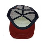 丽晨泽产品_0004_5
