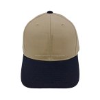 丽晨泽产品_0003_1_副本 (1)