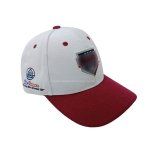 丽晨泽产品_0008_2logo稍微模糊处理一下